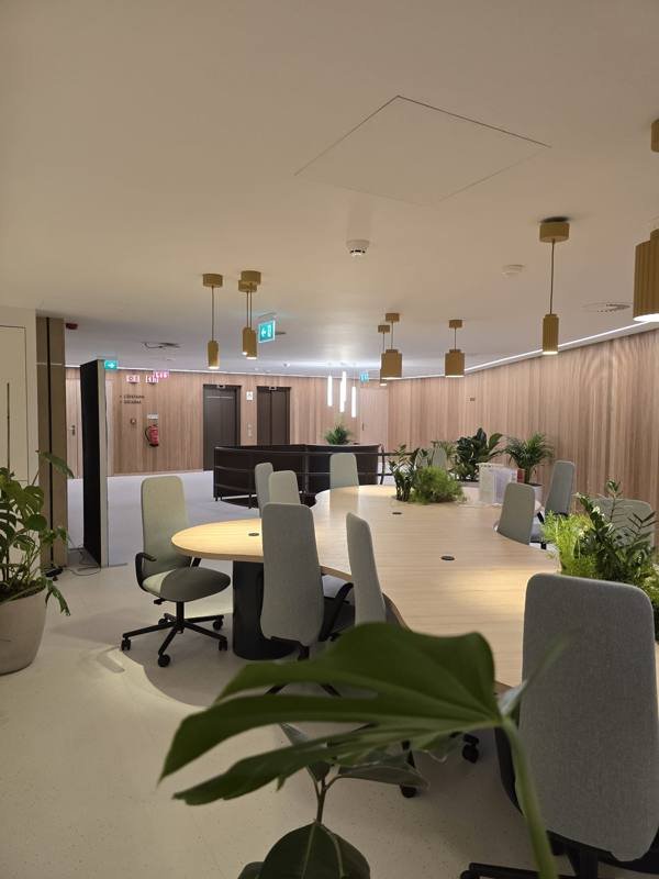 Sala de reuniões — Tetos e acabamentos